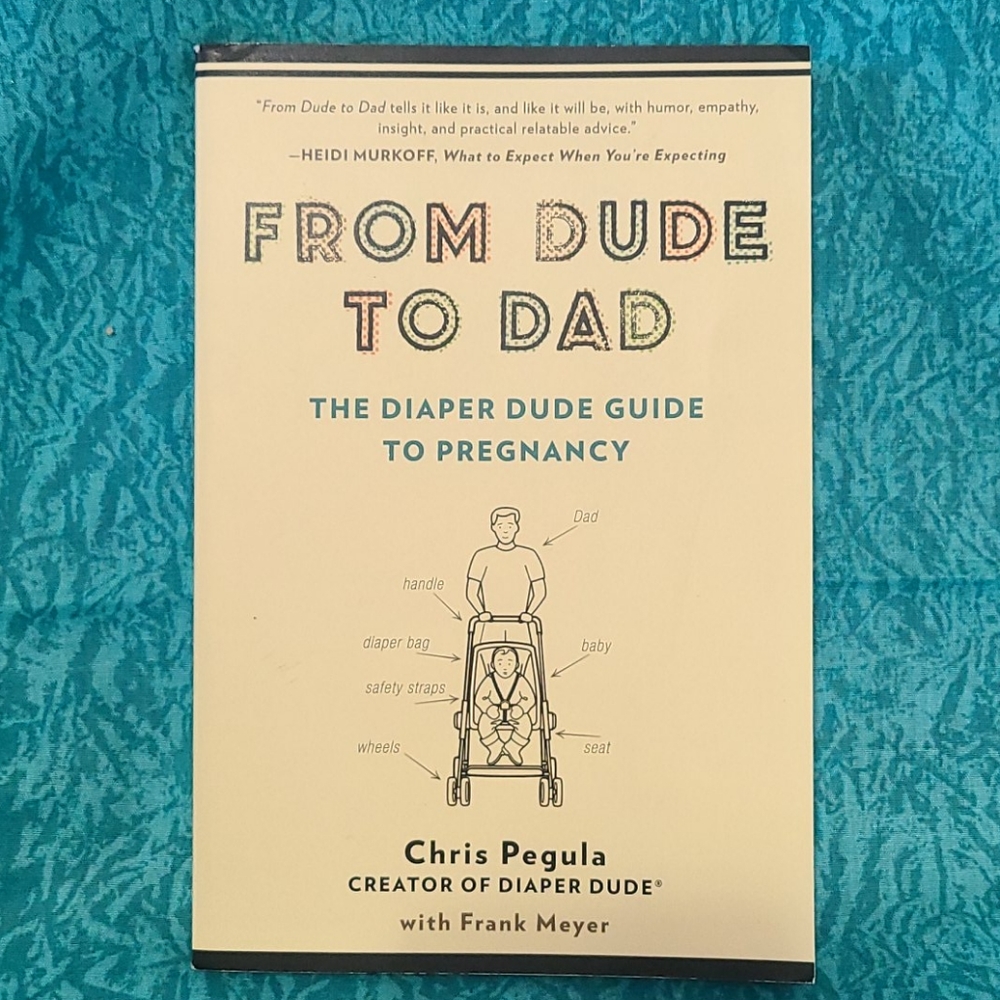 From Dude to Dad Paperback Book